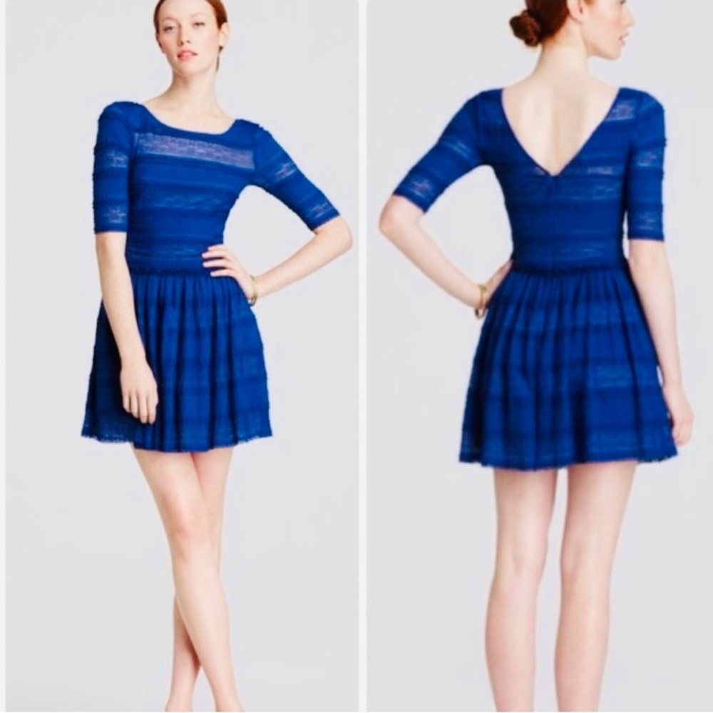 BCBGMaxAzria Women's Blue Loue Ruffle Trim Lace Dress Medium